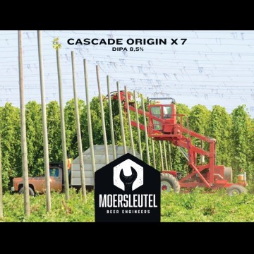 Moersleutel Cascade Origin X 7
